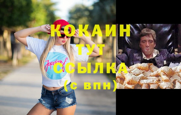 гидра Михайловка